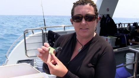 Zoe Richards talking about the corals onboard the Kimberley Quest