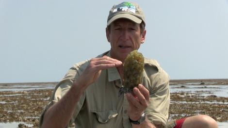 Clay Bryce holding a Baler Shell egg sack