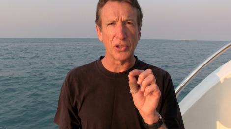 Clay Bryce with the ocean behind him talking to camera