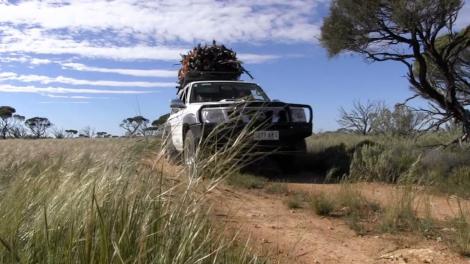 An all-wheel drive car going through the Nullarbor outback