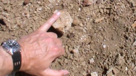 Mikael Siversson hand pointing to a fossil in the Australian outback