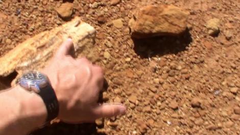 Mikael Siversson hand pointing to a piece of fossilised wood in the Australian outback