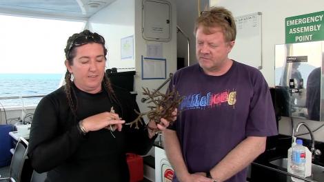 A male and female scientist on the deck of a boat holding algae which mimics coral