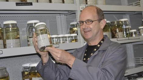 Paul Doughty inspecting a specimen