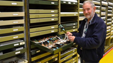 Ron Johnstone examining birds in the WA Museum collection.