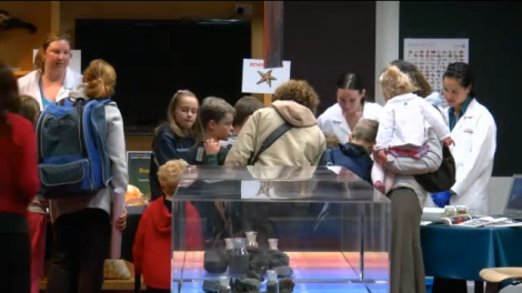 A group of children gathered around a table of museum artefacts