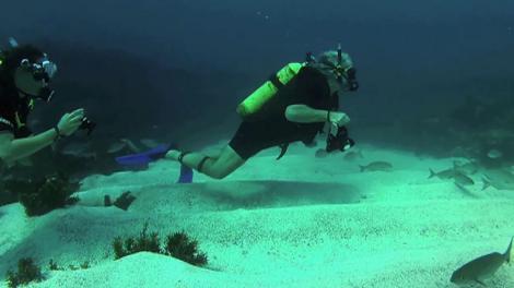 Scuba diver under water on sea bed