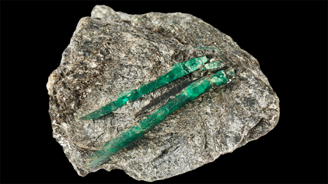 Crystals of beryl (var. emerald) in schist from Poona, WA. Specimen is 8 cm long. WA Museum specimen number MDC1822