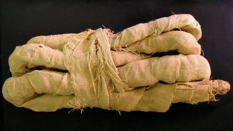 A mummified snake wrapped in bandages