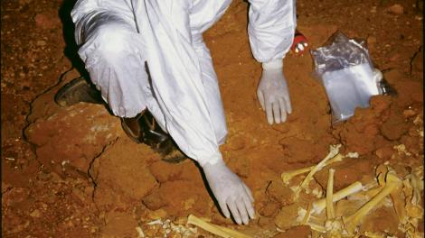 Careful excavation of a Nullarbor Thylacoleo in the hope of finding fossilised DNA