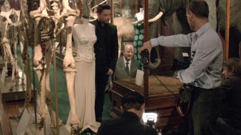 Aurelio Costarella being filmed and photographed in the Museum mammal gallery