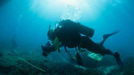 A diver on a reef