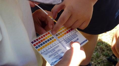 A child looking at a ph chart