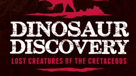 Dinosaur Discovery Logo