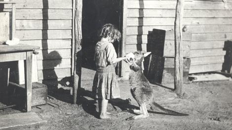 Small girl feeding a kangaroo