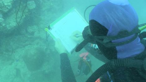 A scientists writing underwater