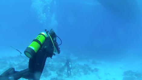 An scuba diver underwater