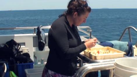 A scientists working onboard a deck