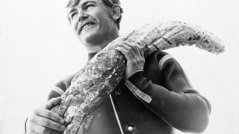 Museum curator with a ivory tusk recovered from a shipwreck