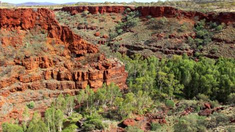 Red gorges with large trees growing at the bottom