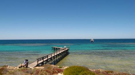 Biologists on Jetty on East Wallabi Island, get ready to find some reptiles