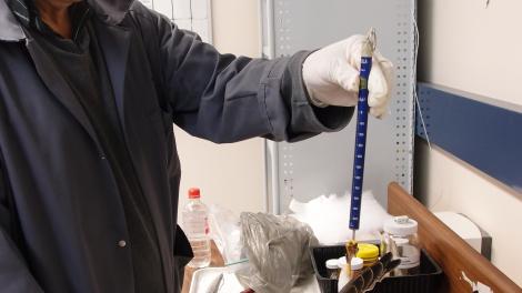 Bird specimen is weighed using a spring weight in the laboratory