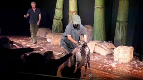 Kids stroking a dinosaur on stage with two actors from Erth