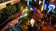 The Dinosaur Discovery exhibition at night with people enjoying visiting the show