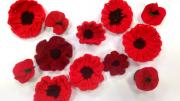 Remember me Poppy Project