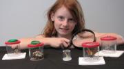 "A young scientist investigating insects with a large magnifying glass."