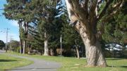 Lawley Park, Albany