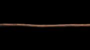 "Spear with wooden barb, Eucalyptus doratoyxlon (spearwood mallee), King George Sound, 1821. "