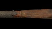 "Detail view of spear with wooden barb, Eucalyptus doratoyxlon (spearwood mallee), King George Sound, 1821. "