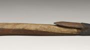 Spearhead of Eucalyptus doratoxylon, spearwood mallee, King George Sound, 1831–33. 