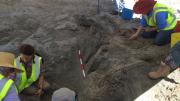 Samuel Wright excavation site in Bunbury