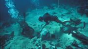 Divers sifting through a shipwreck site