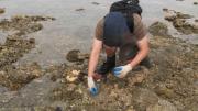 WA Museum's Crustacean Curator, Andrew Hosie inspecting the reef at Cassini Island