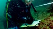 WA Museum`s Marine Invertebrate Technical Officer, Oliver Gomez recording sponge species along a transect line at Mavis Reef