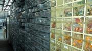 Image of shelves and drawers filled with bags of badges and badge dies. 