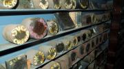 Image of shelves filled with badge dies.