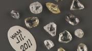 A set of thirteen yellow and grey diamonds from Western Australia