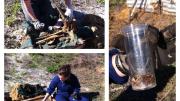 tiny teeth that have fallen out of the bottlenose dolphin skull are collected in a sieve by staff