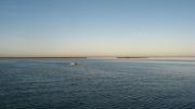 Biologists in a dingy on the ocean