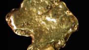 A gold nugget that seems to sketch Queen Victoria's profile