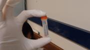 DNA sample of muscle tissue in a tube of ethanol