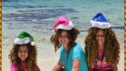 Pre Christmas celebrating at Rottnest 