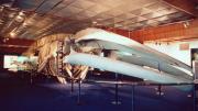 A skeleton of a blue whale on display in the museum.  It is sitting on mounts, the carpet is dark blue and there is wood paneling near the ceiling and a white geometric tiled surface on the ceiling 