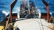 Trip back from the site to Beacon - timbers are in the crate at the back where they remained wet.