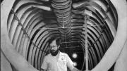 A man stands in the centre of a giant whale's rib cage.