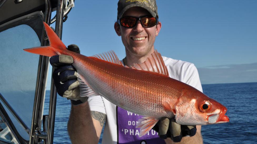 A freshly caught Japanese Rubyfish held by a fisherman